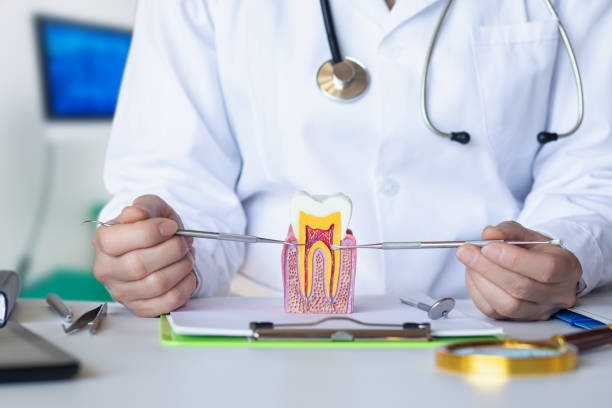 Best Urgent Tooth Repair  in Van Wert, OH
